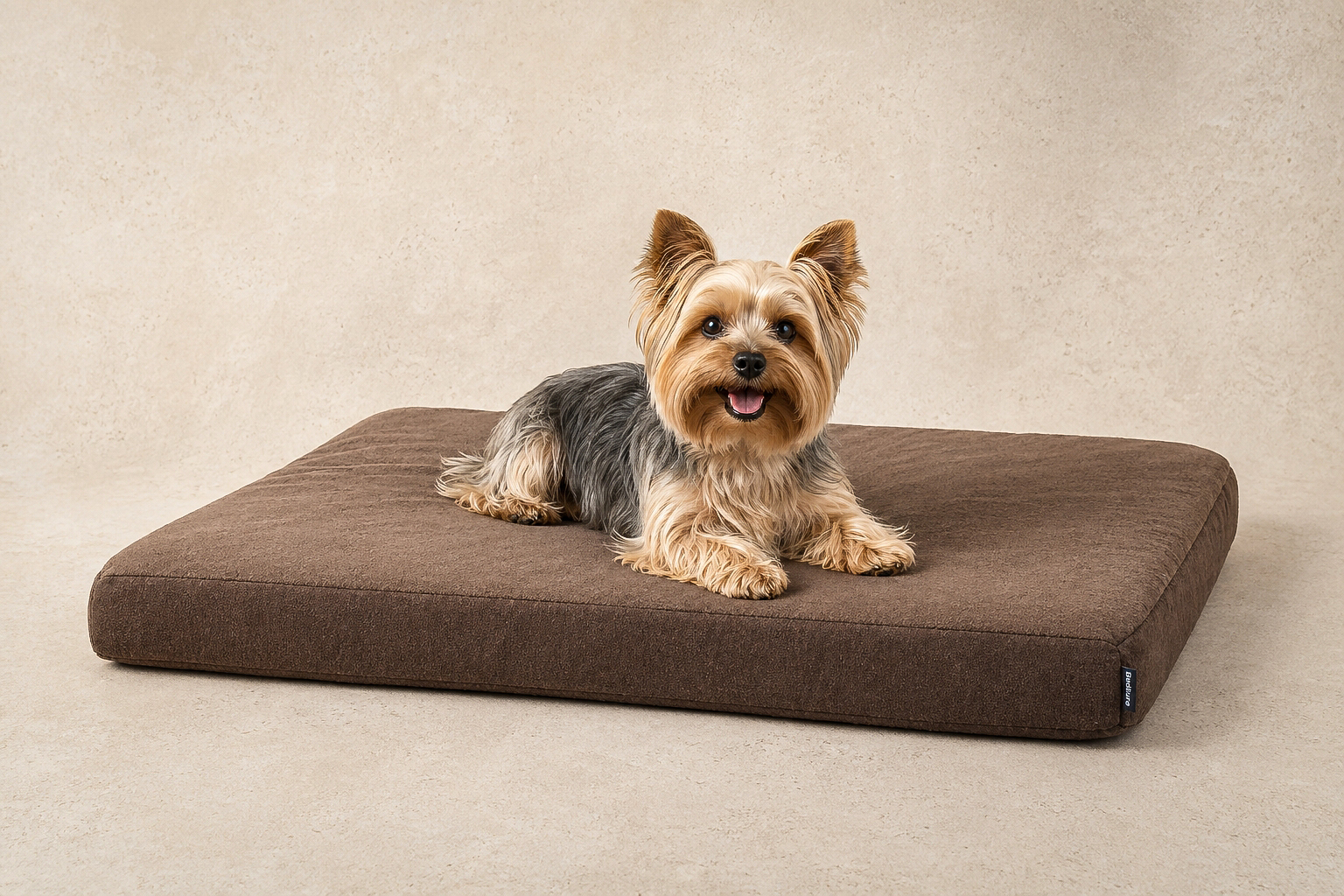 BarkBox Thick Orthopedic Memory Foam Bed