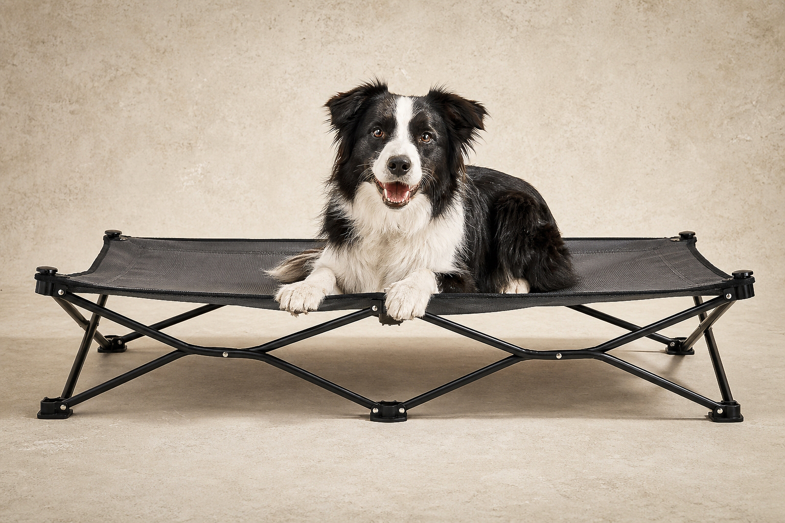 Coolaroo Go Elevated Dog Bed