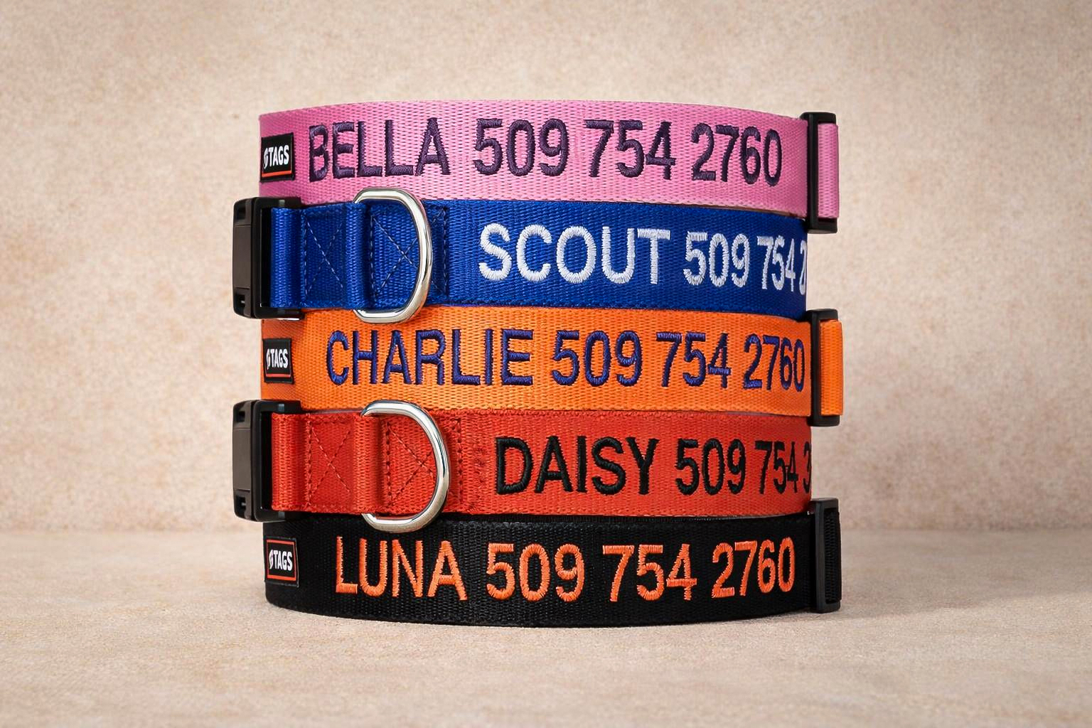 GoTags Personalized Dog Collar