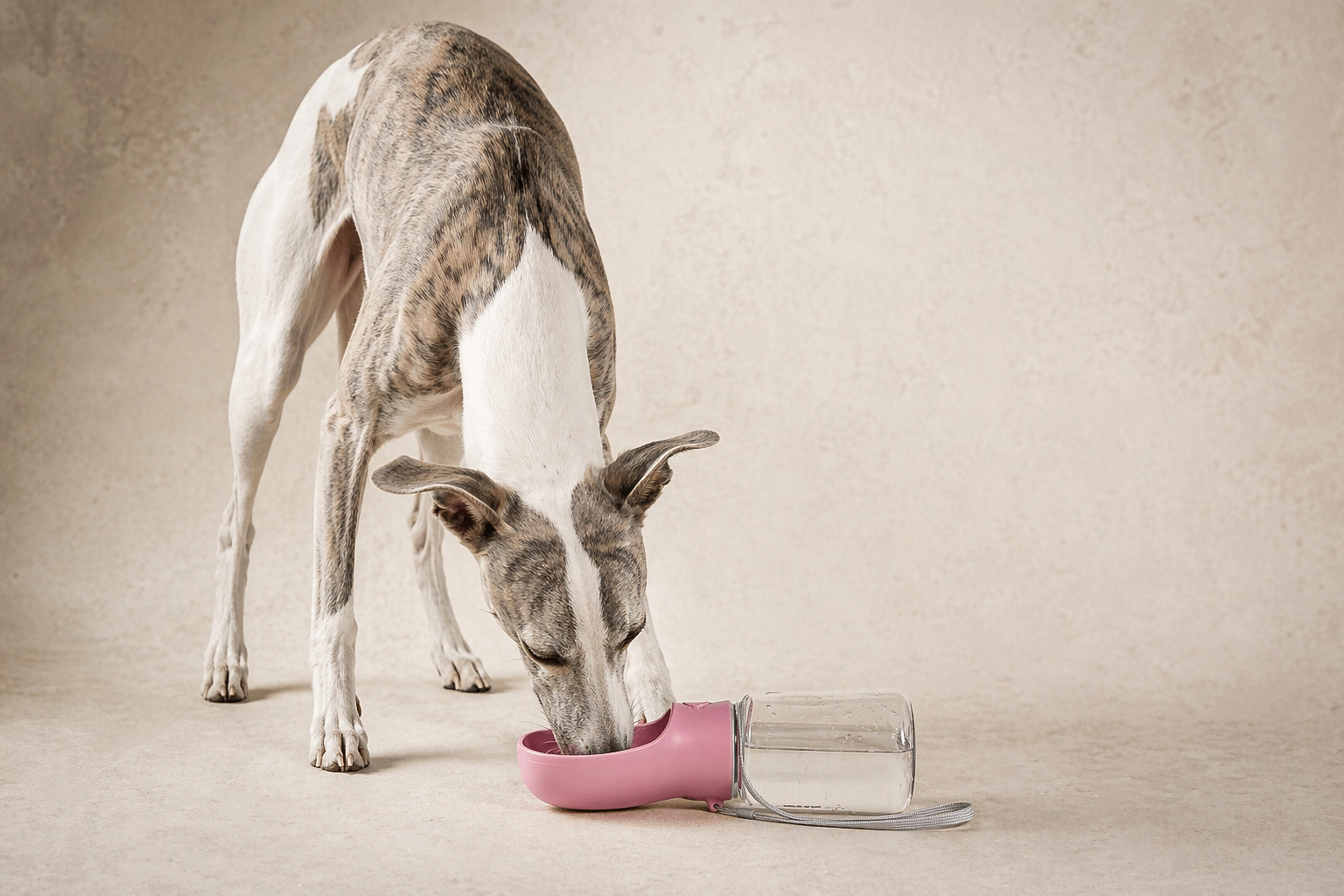 Kalimdor Portable Dog Water Bottle