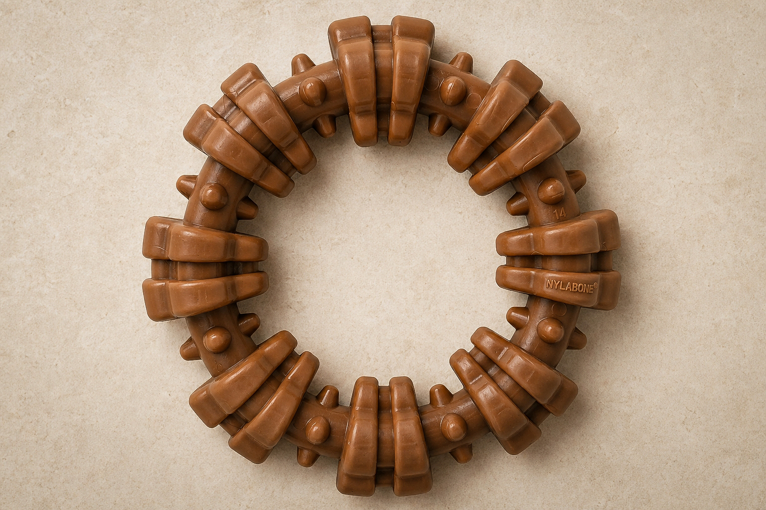 Nylabone Textured Durable Dog Chew Ring