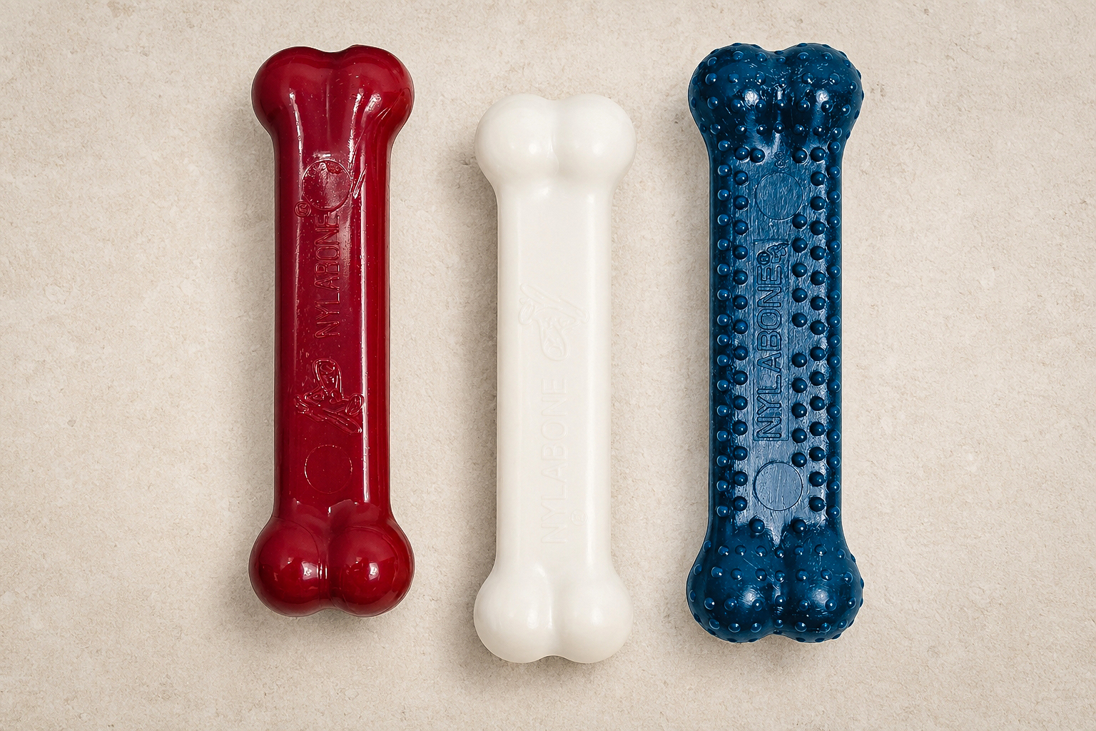 Nylabone Textured Peanut Butter Chew Toy