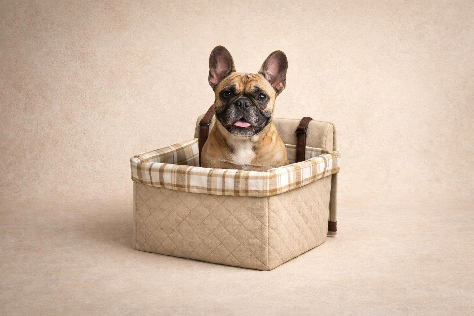 PetSafe Happy Ride Booster Seat for small dogs