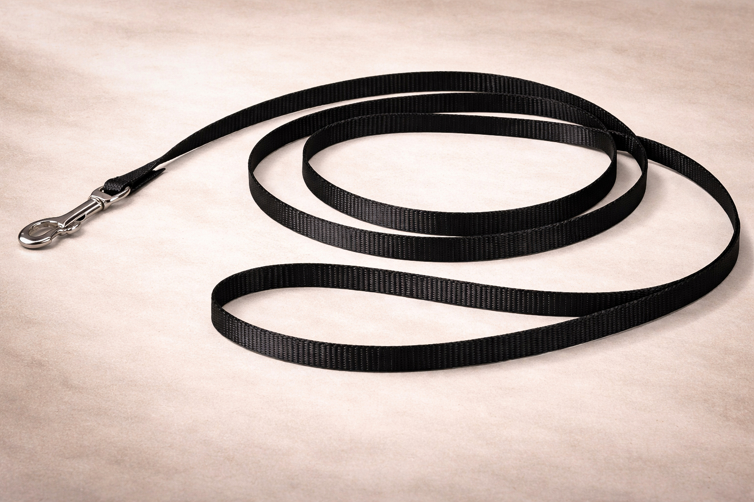 PetSafe Nylon Dog Leash